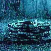 cocktails and movies Ringu well