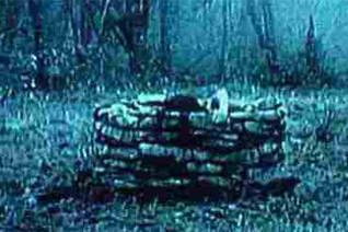 cocktails and movies Ringu well