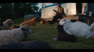 SHEEP DETECTIVES WEEKEND POURCAST